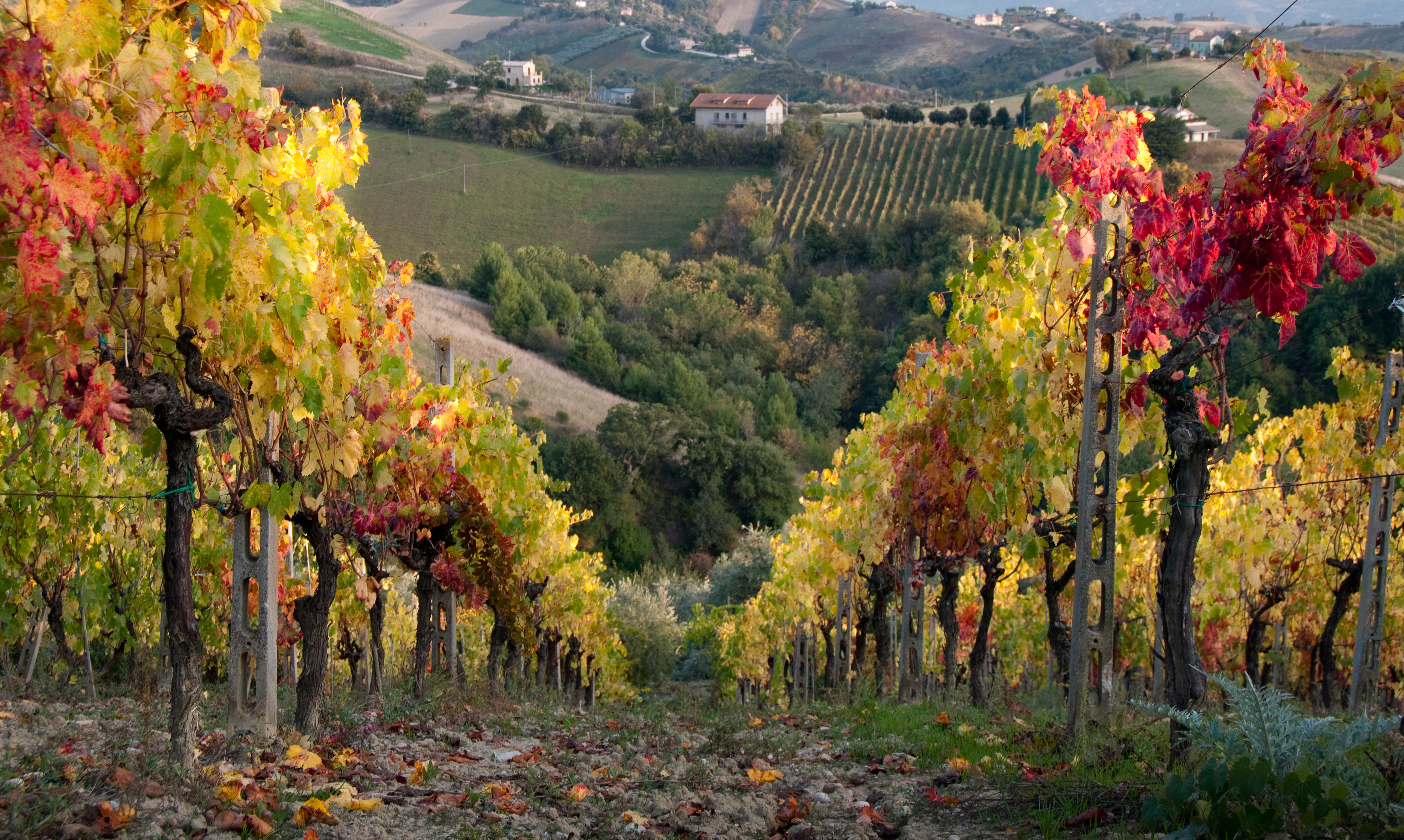 Don’t let wine tasting ruin your vacation!!