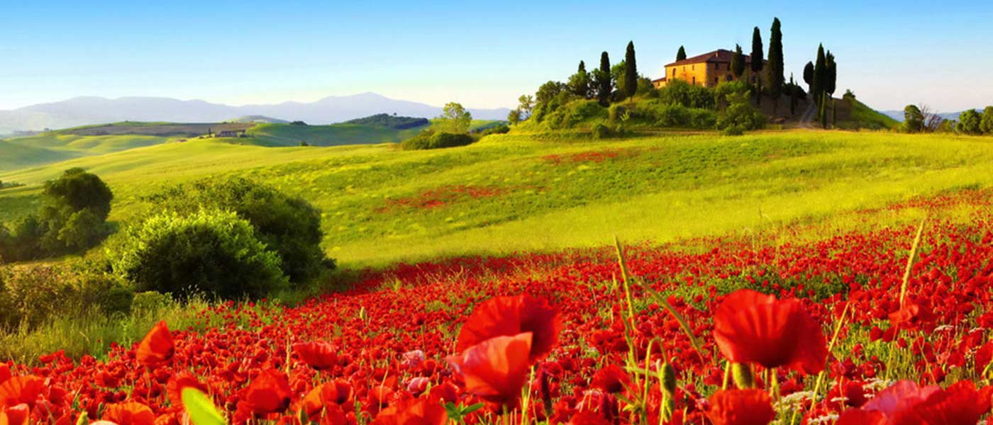 Our Top Selection of Villas in Tuscany for Groups: The Ultimate Guide to Your Dream Vacation