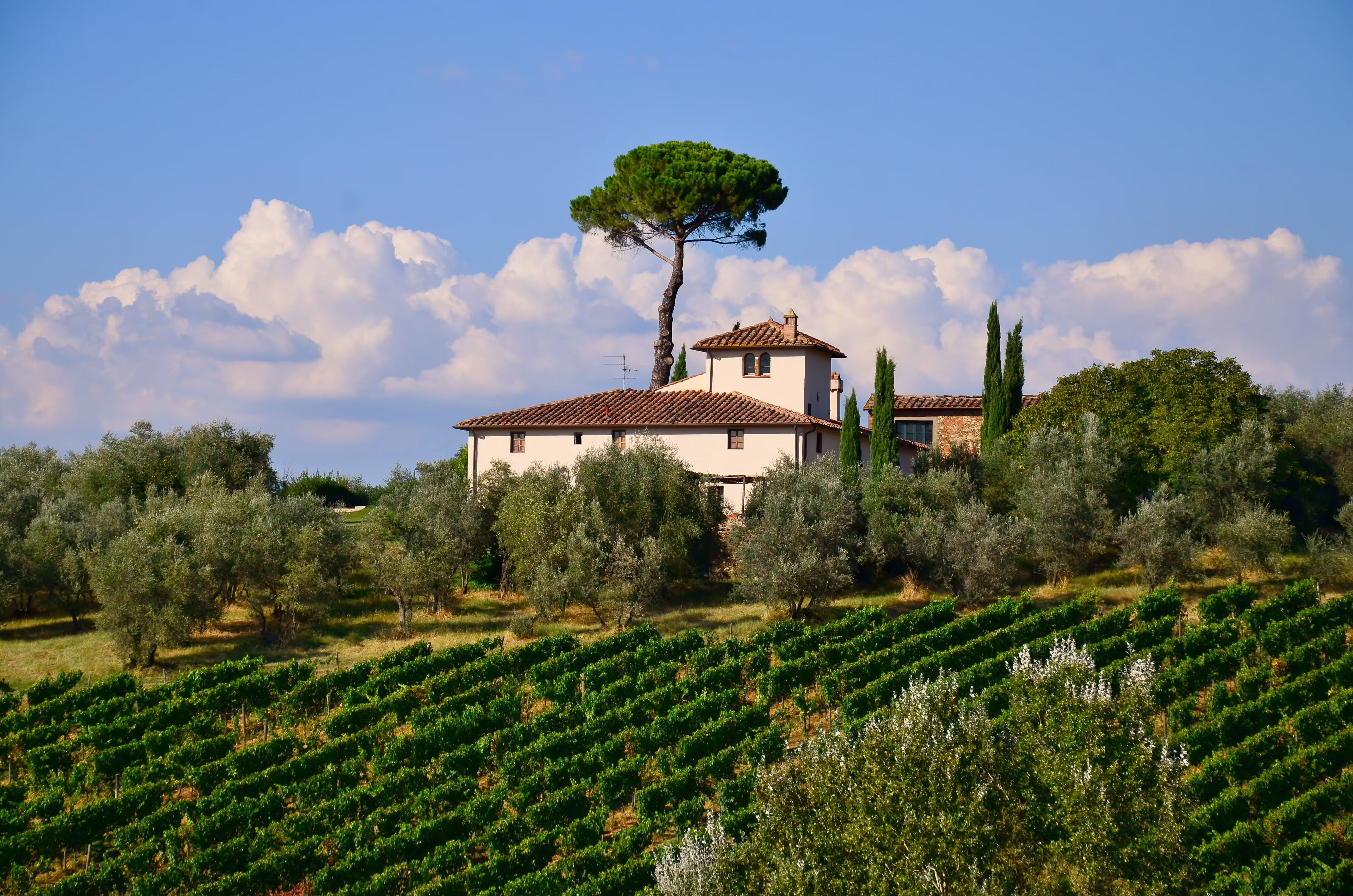 Villa Cetinale – Tuscany