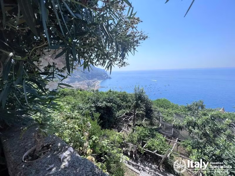 Discover Minori 