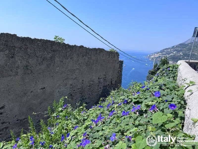 Discover Minori 