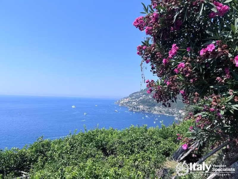 Discover Minori 