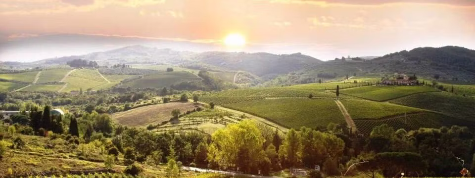 Chianti at Harvest Time in Tuscany - Celebrate Colour 