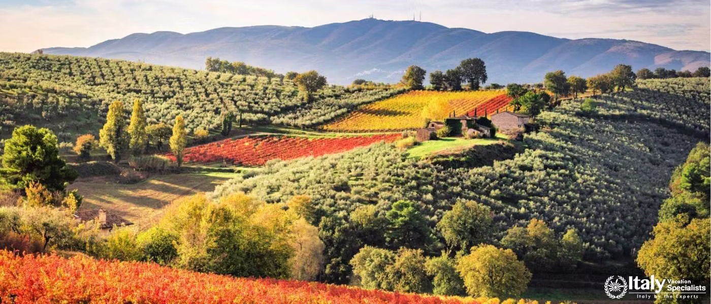 Experience the very best of Montefalco, Umbria 