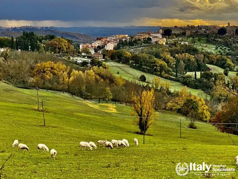Explore Umbria and Visit Narni