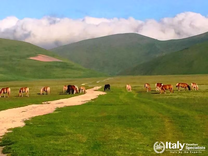 Castellucio Di Norcia 