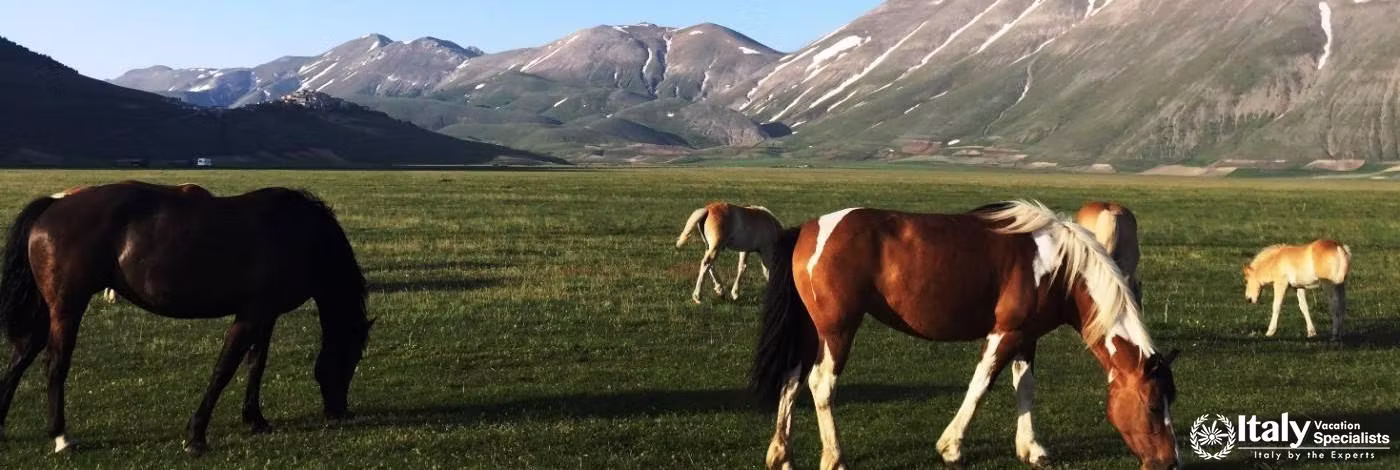 Unreal Castellucio Di NOrcia 