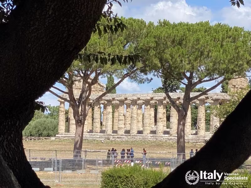 Discover Paestum and Cilento 