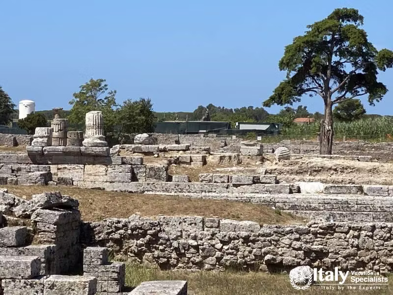 Driver to Paestum 