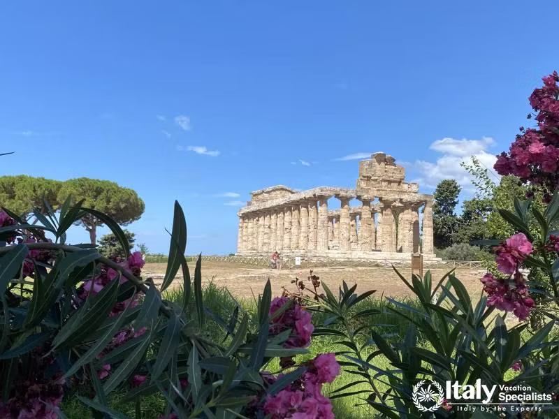 Cilento and Paestum Discovery 