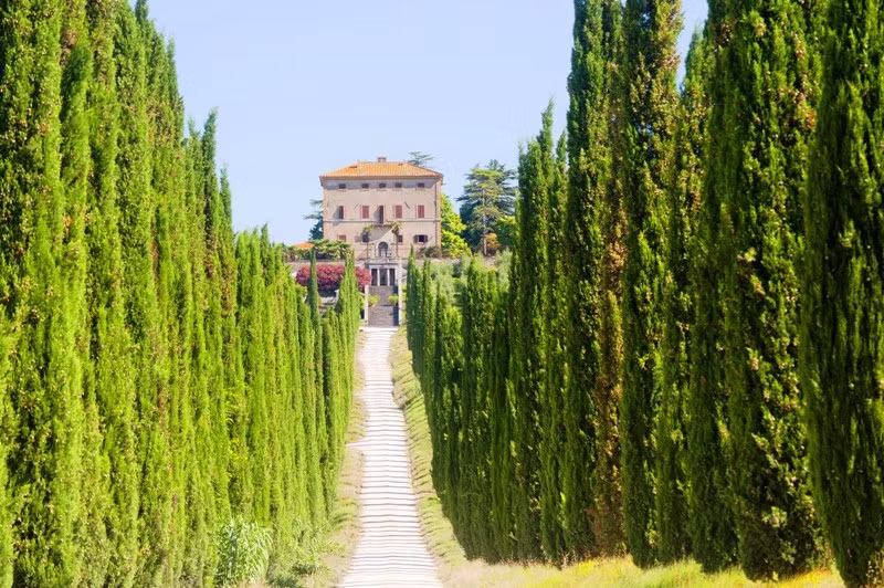 Beautiful Estate near Amelia, Umbria