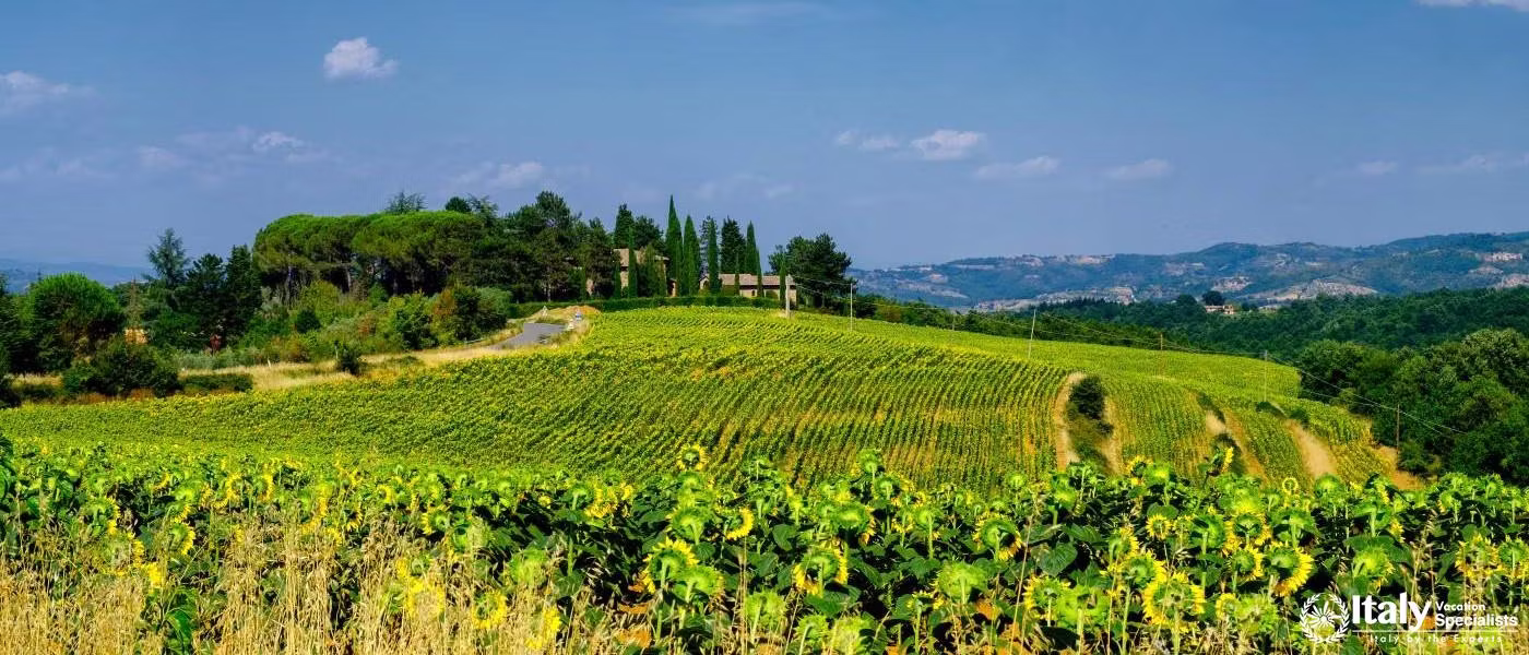 travel experience in Citta Della Pieve Italy with private tours and local guides