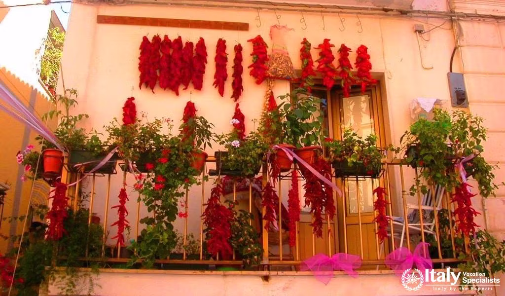 travel experience in Diamante Italy with private tours and local guides