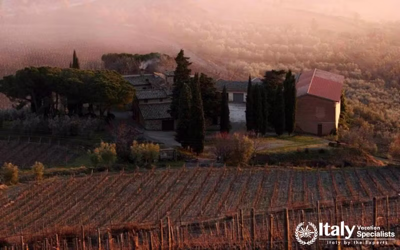 Where to go in Chianti? Catsellina in Chianti 