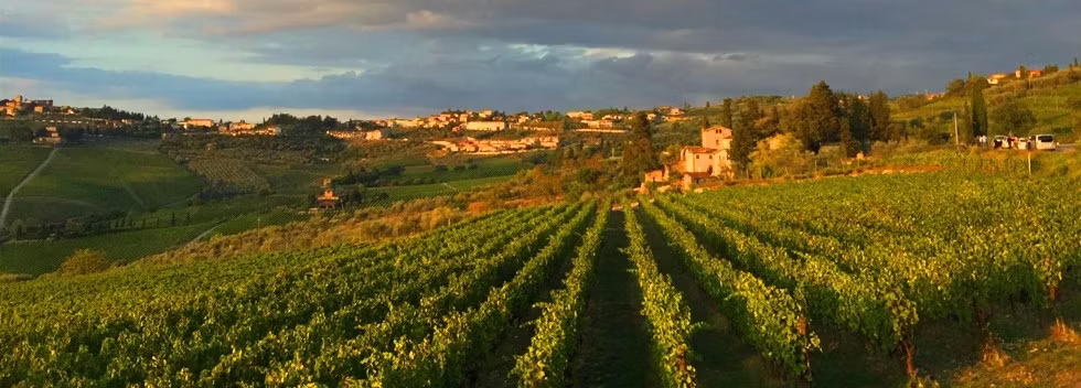Panzano in Chianti 