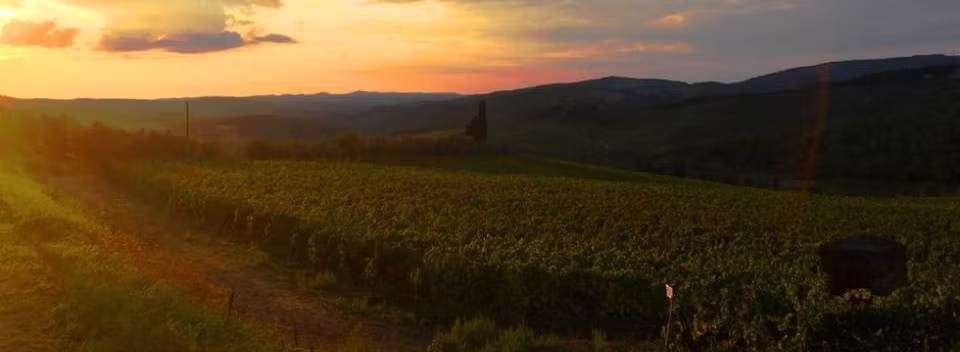 travel experience in Panzano in Chianti Italy with private tours and local guides
