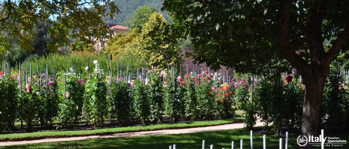 travel experience in Villa Taranto - Lake Maggiore Italy with private tours and local guides