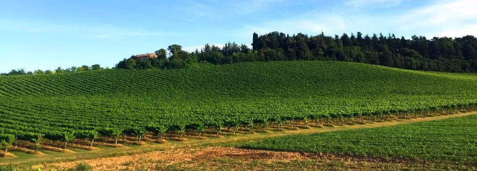 travel experience in Bagno di Romagna Italy with private tours and local guides