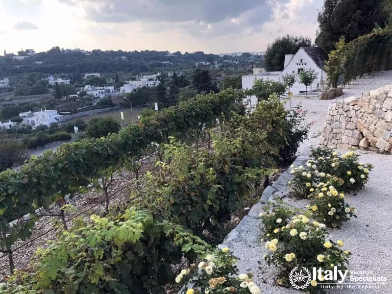 Driver in Puglia with Italy Vacation Specialists 