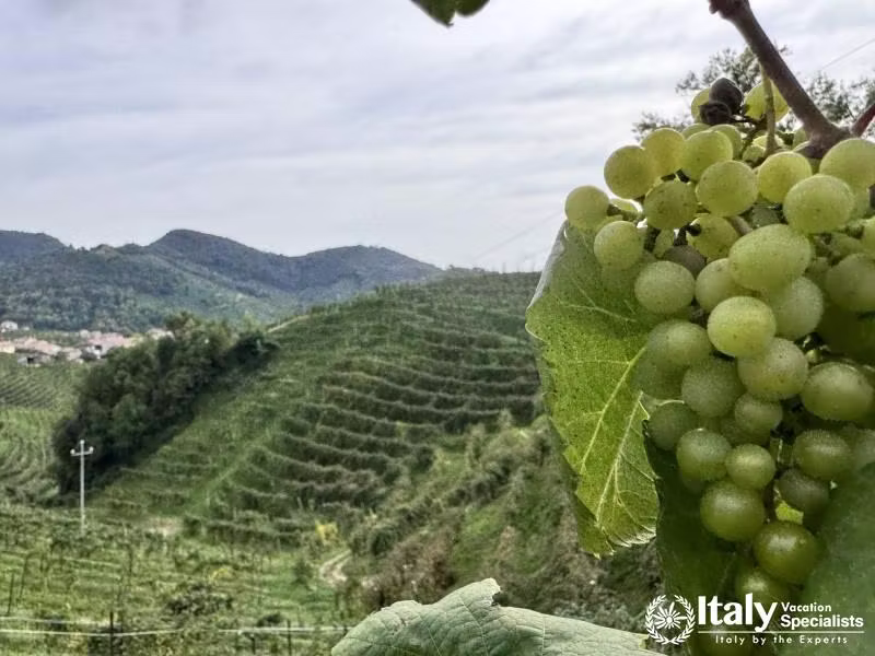 Valdobbiadene