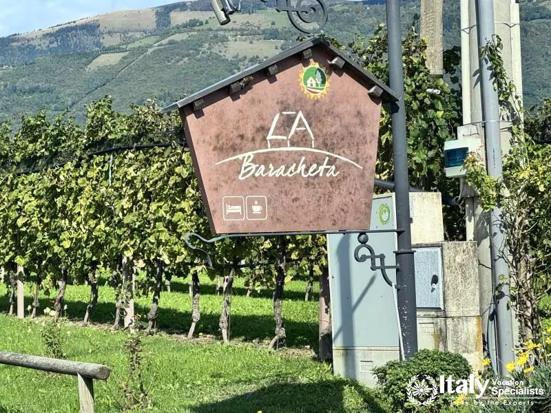 Sparkling wine production