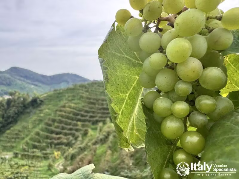 Italian landscape photography
