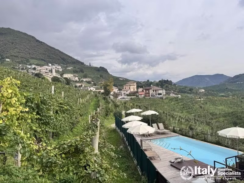 Private Tour of Veneto Wine Region 