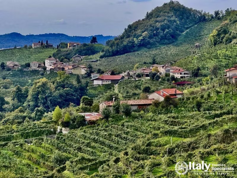 Sparkling wine production