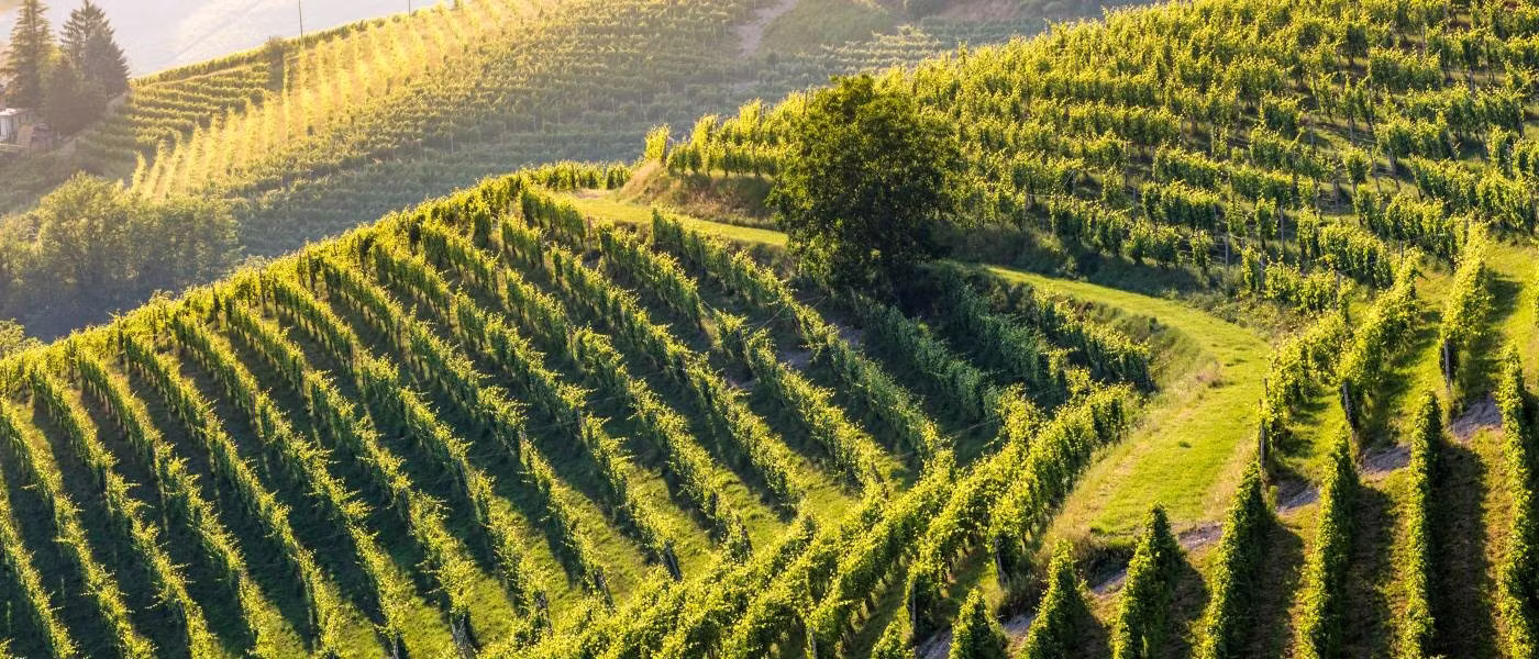 travel experience in Valpolicella Italy with private tours and local guides