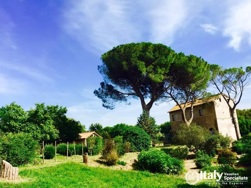 Great Options for Families in Rome 