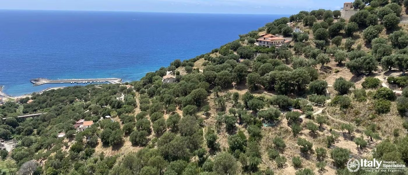 travel experience in Pisciotta Italy with private tours and local guides