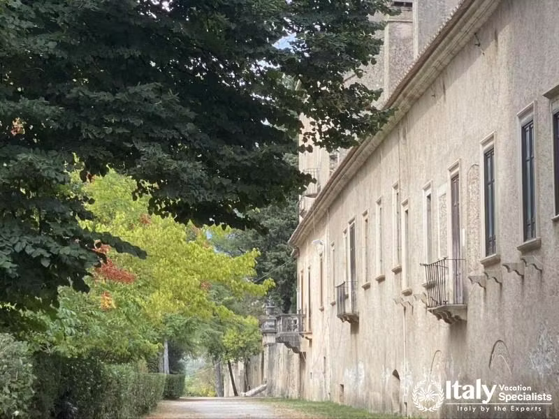 Experience Padula 