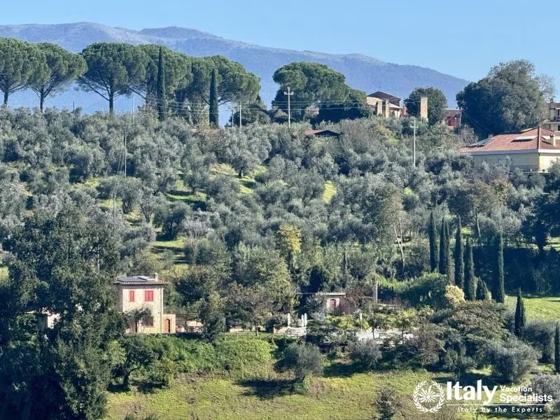 Tiber Valley Views: A Breathtaking Look at Stimiglianoâ€™s Landscape