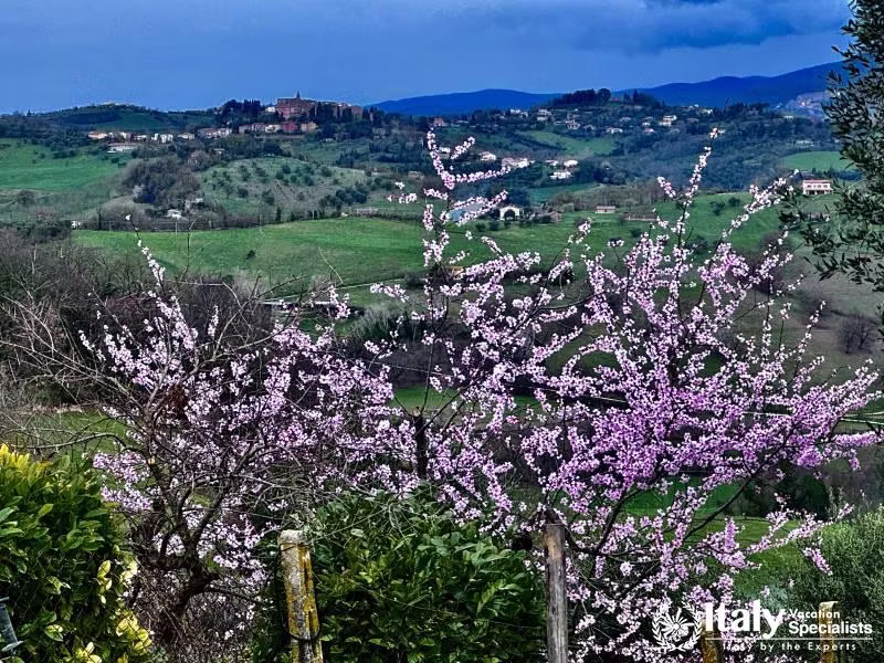 Spring in Stimigliano 
