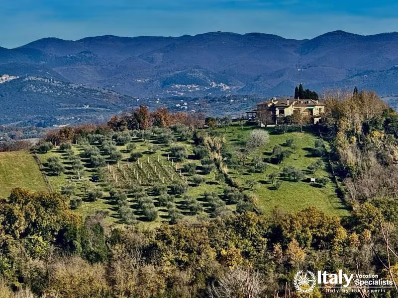 Countryside surrounding Stimigliano 