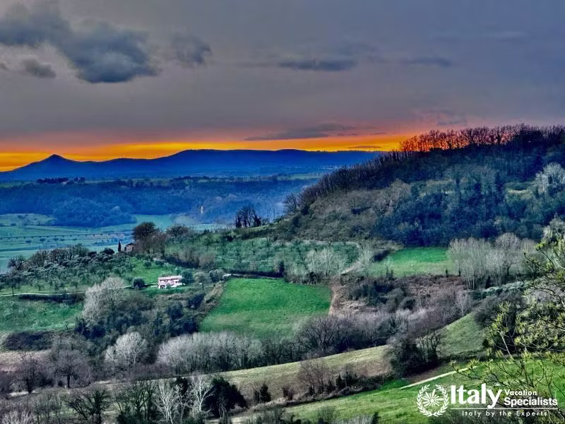 Sabinaâ€™s Hidden Gem: Olive Groves and Vineyards in Stimigliano