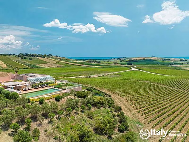 Luxury Vineyard Estate with Pool and Sea Views