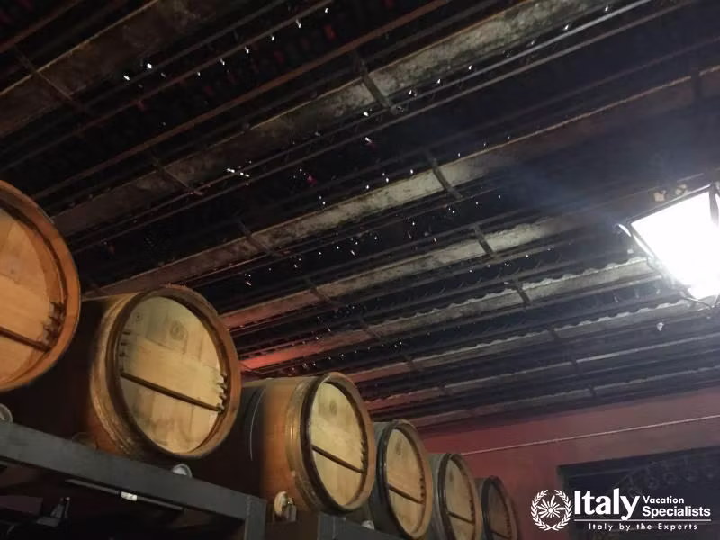 Wine Cellars of Emilia Romagna 