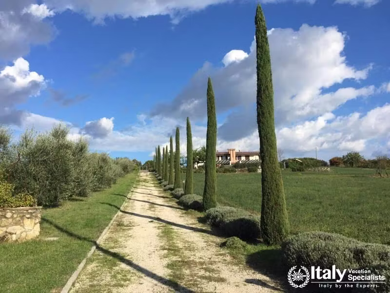 Countryside Emilia Romagna - Landscape Photo 