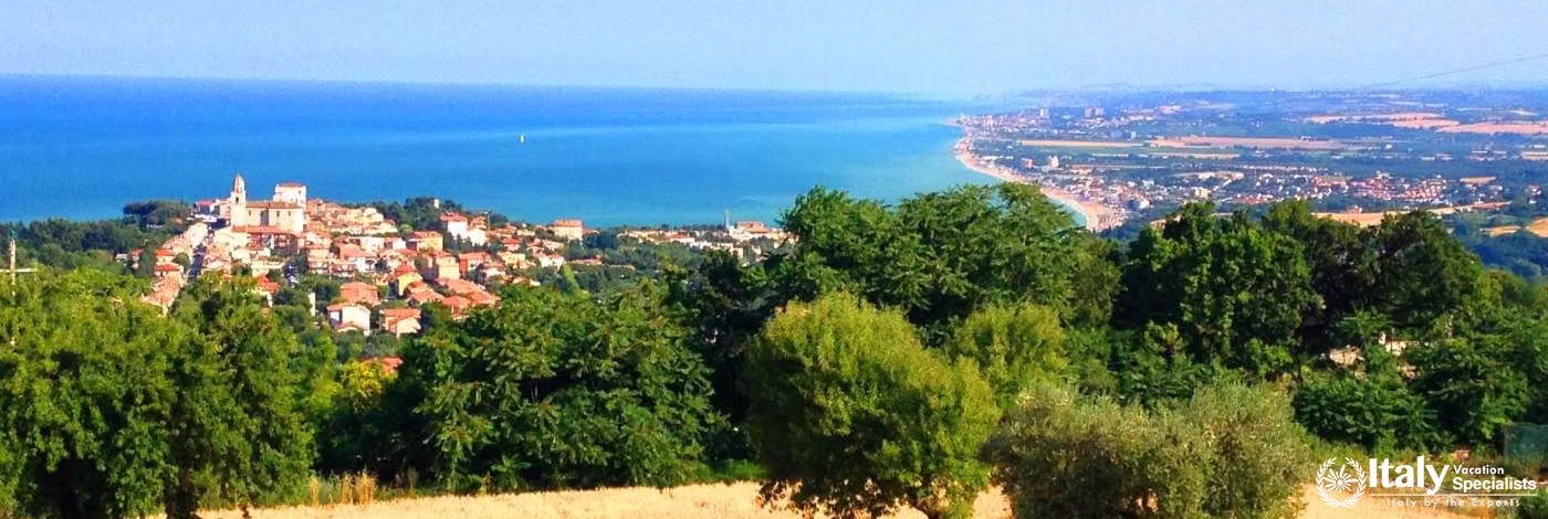 Wine Tours Marche - Driver in Marche 
