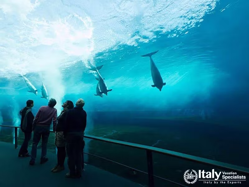 Amaing Aquarium of Genoa Italy