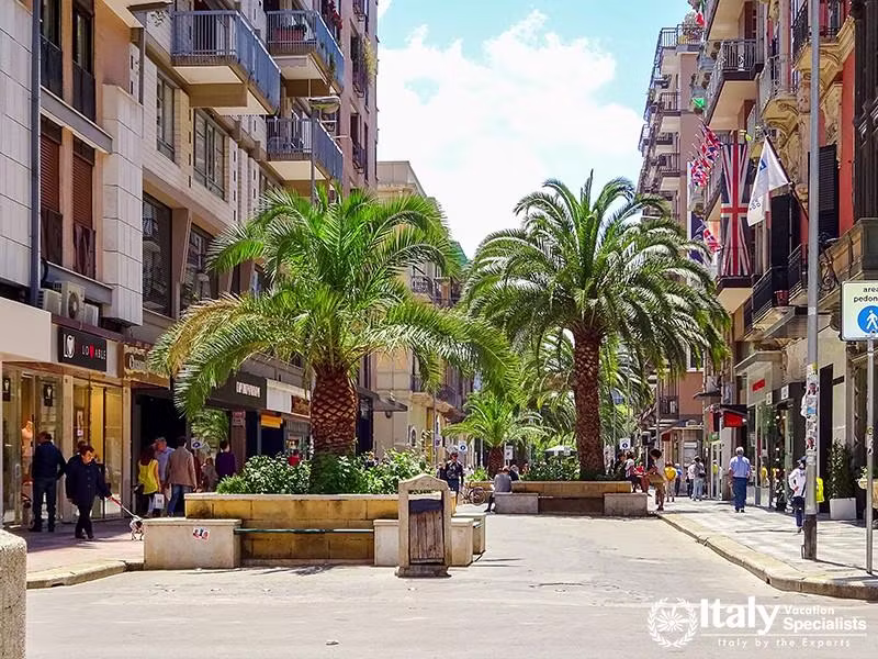 Alley of palms on the street Corso Vittorio Emanuele at Bari city. Bari is capital city of Metropoli