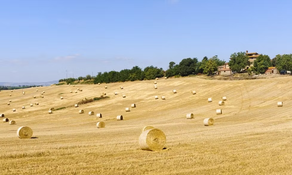 Arezzo, Tuscany Farmland 