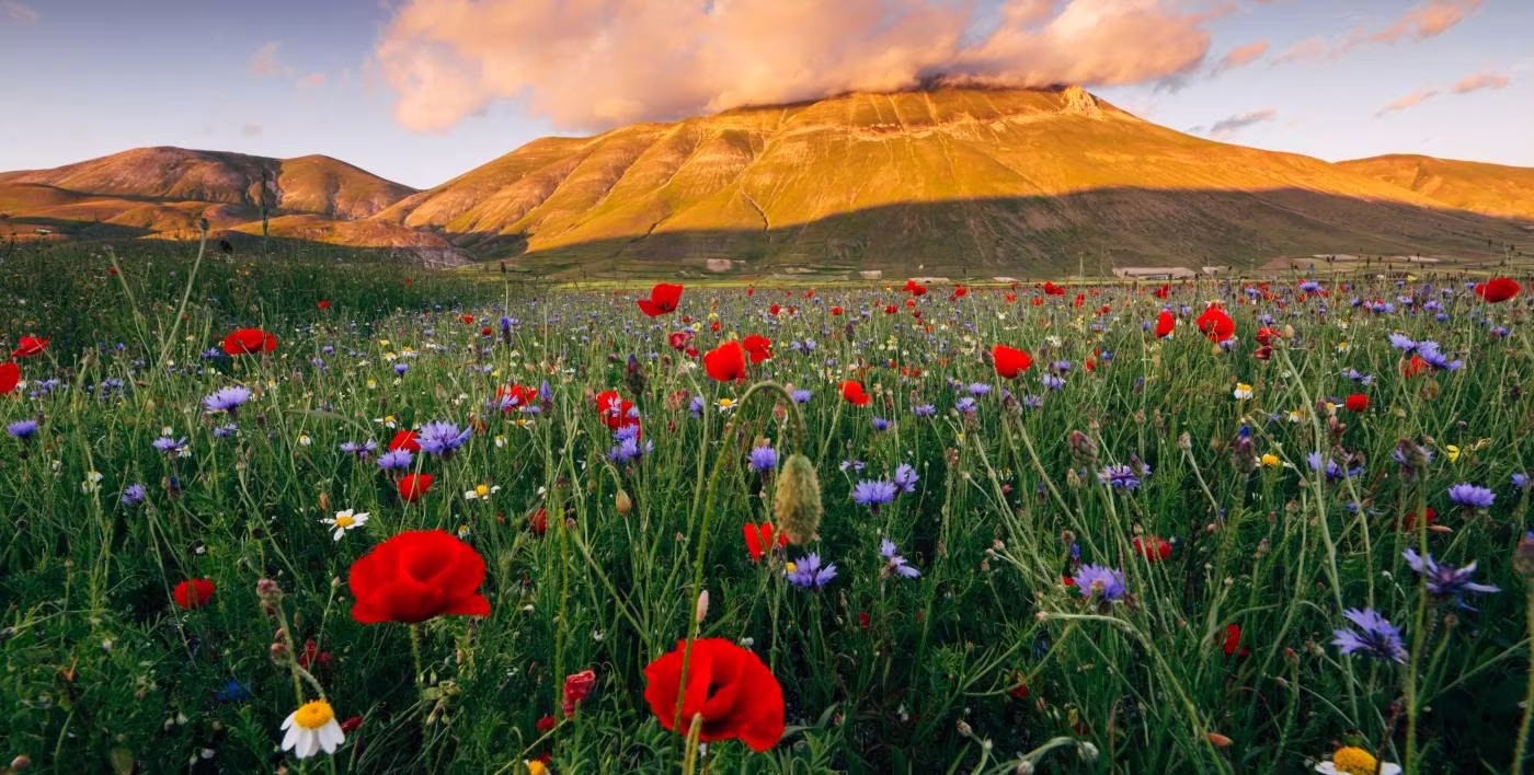 travel experience in Monti Sibillini National Park Italy with private tours and local guides