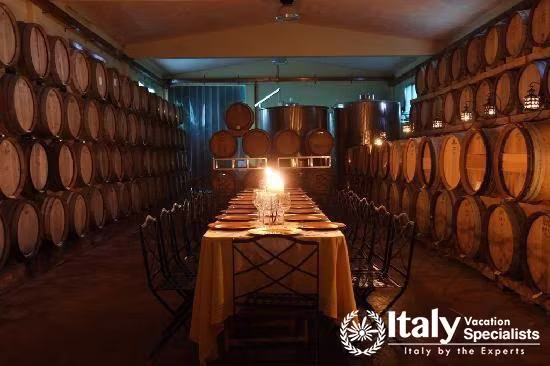 Wonderful vineyard in Tenuta Torciano Winery