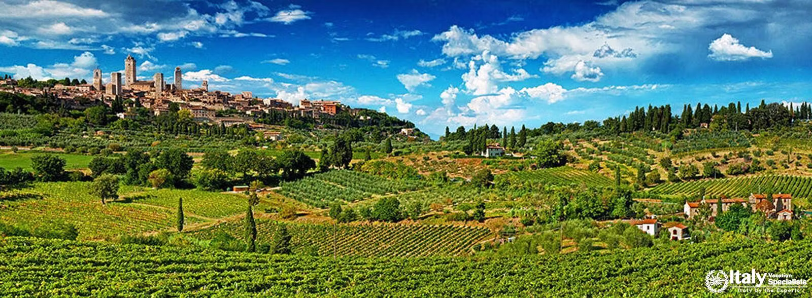 Tenuta Torciano Winery