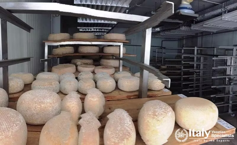 On-Site Cheese Production at La Parrina, Tuscany 