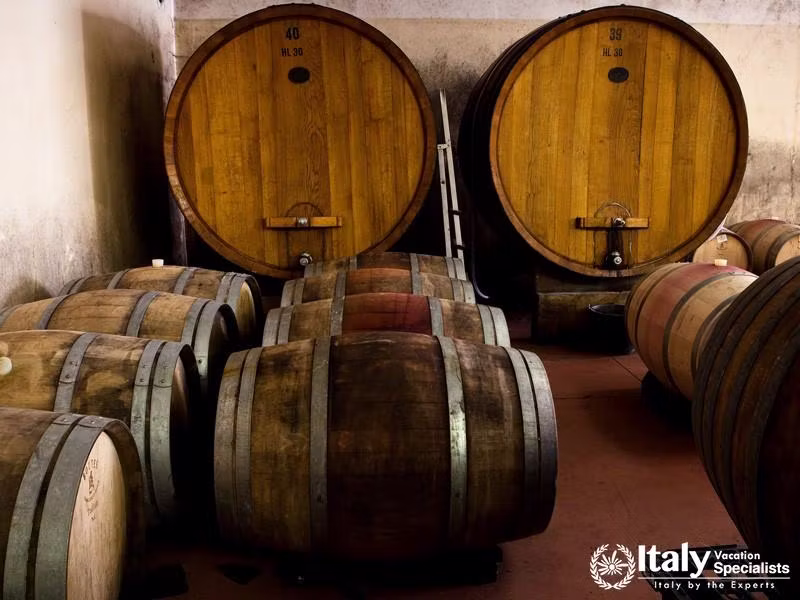 The Wine Cellar
