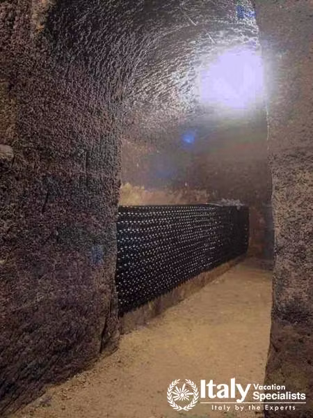 The Wine Cellar