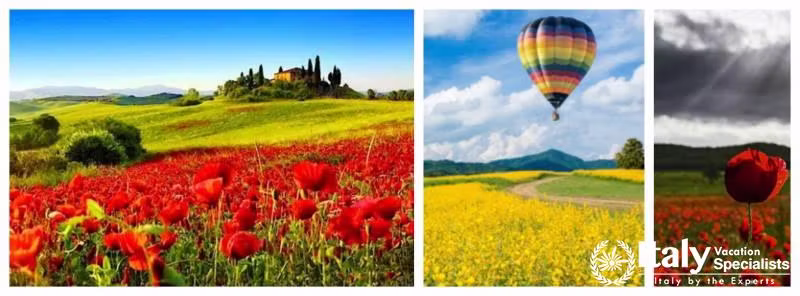 Orcia Valley 